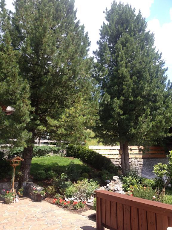 Pension Edelweiss Альпбах Экстерьер фото